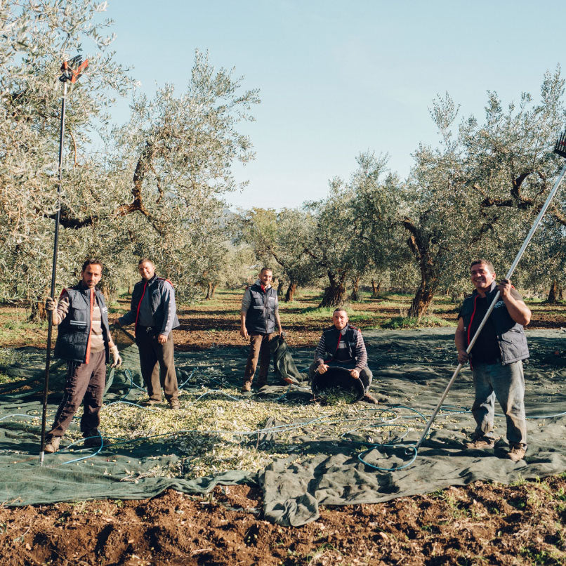 Slow Food
