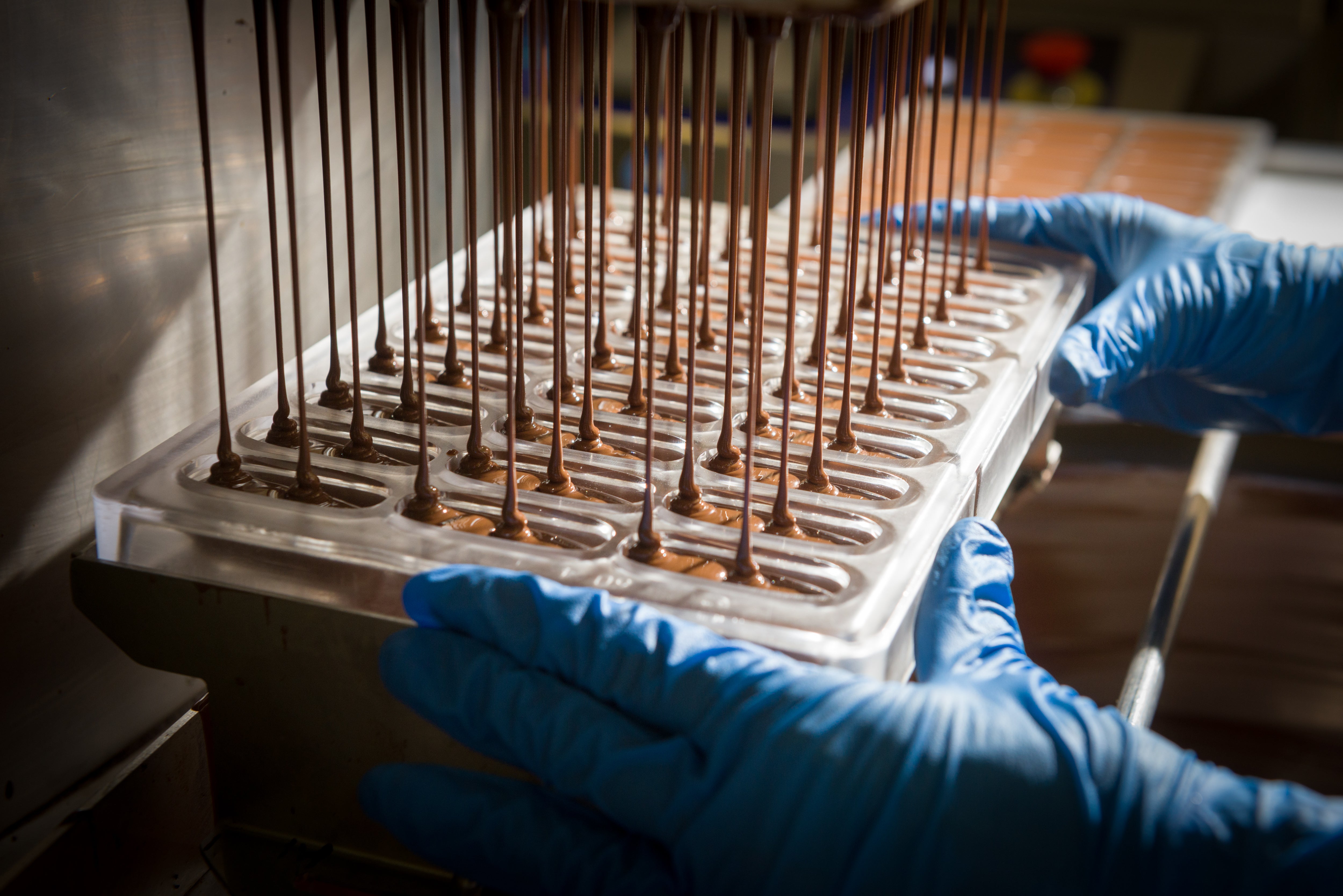 Italian Dark Hazelnut Chocolates