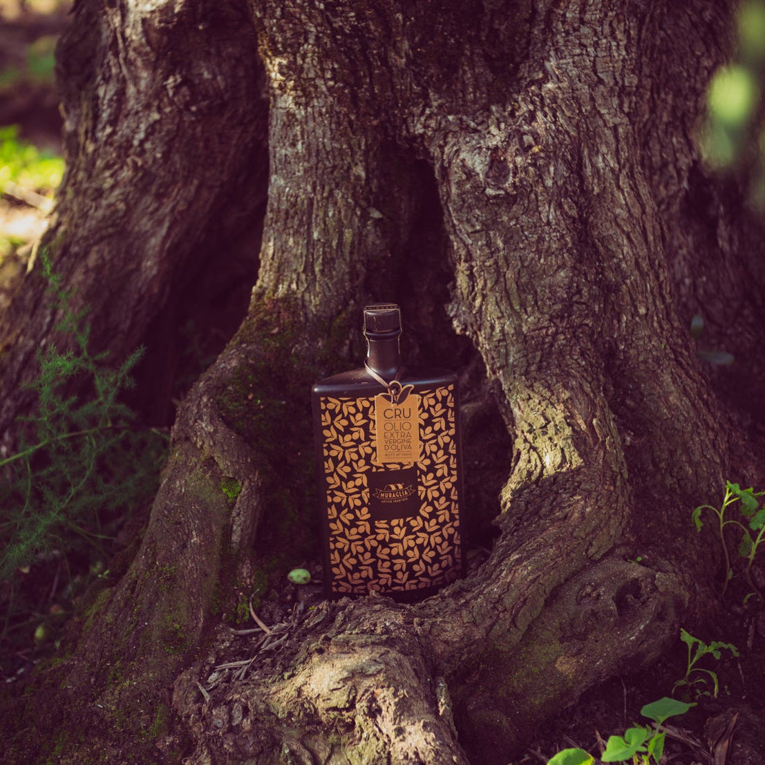 Muraglia, Ltd Edition Grand Cru, Macchia di Rose Extra Virgin Olive Oil, 500ml