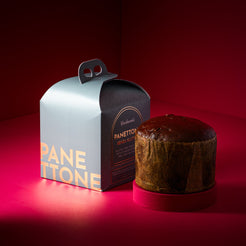 Gluten Free Panettone